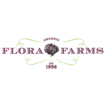 Flora Farms Cabo Transportation.