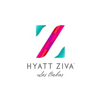SJD Taxi| image: Hyatt-Ziva-Transportation