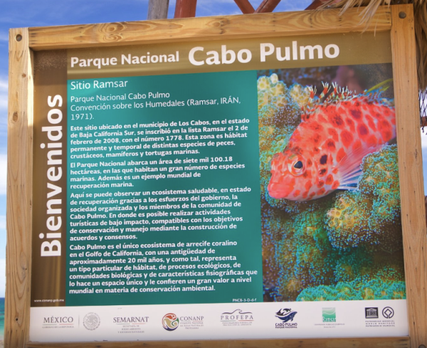 Cabo Pulmo National Park