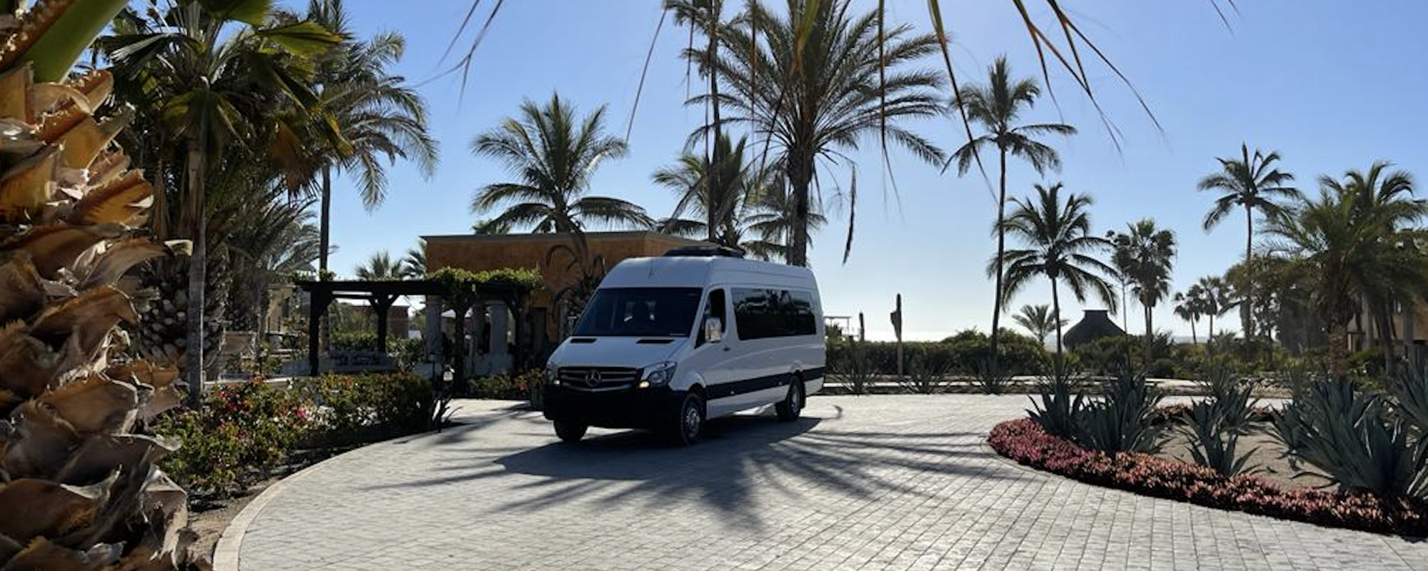 Private Transportation Companies in Los Cabos