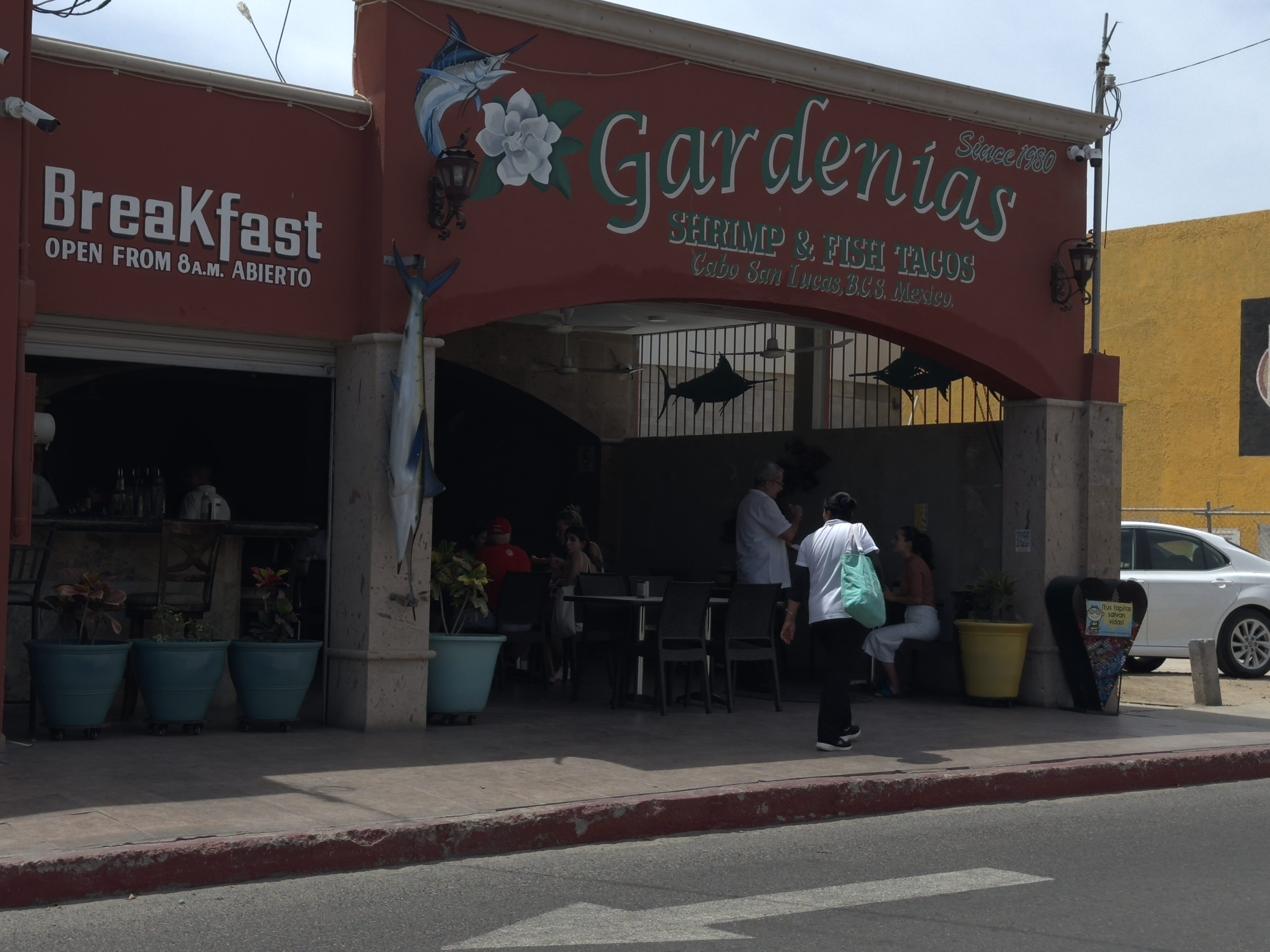 Gardenias Cabo Restaurant