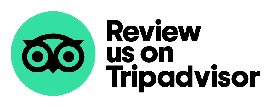 SJD Taxi Tripadvisor Reviews