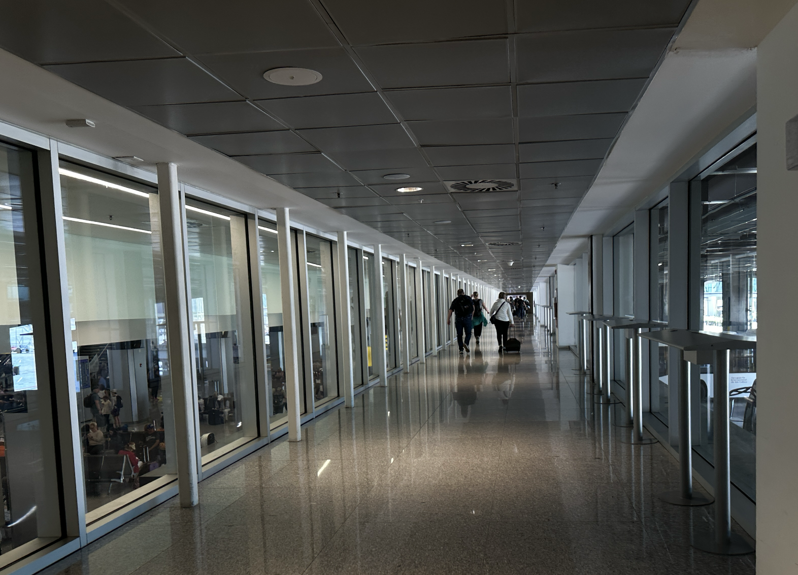 cabo airport concierge service