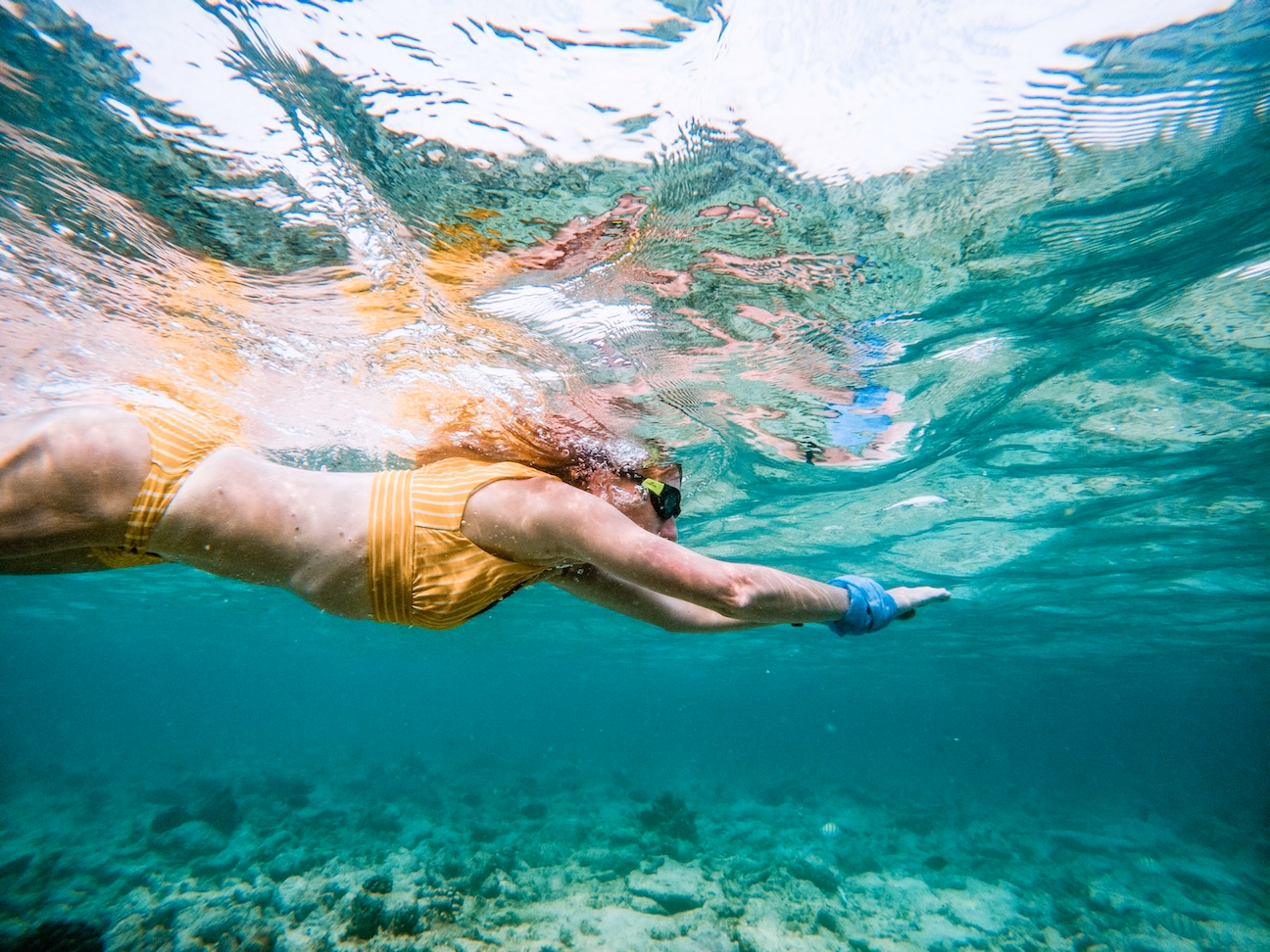 Snorkeling in Cabo Pulmo