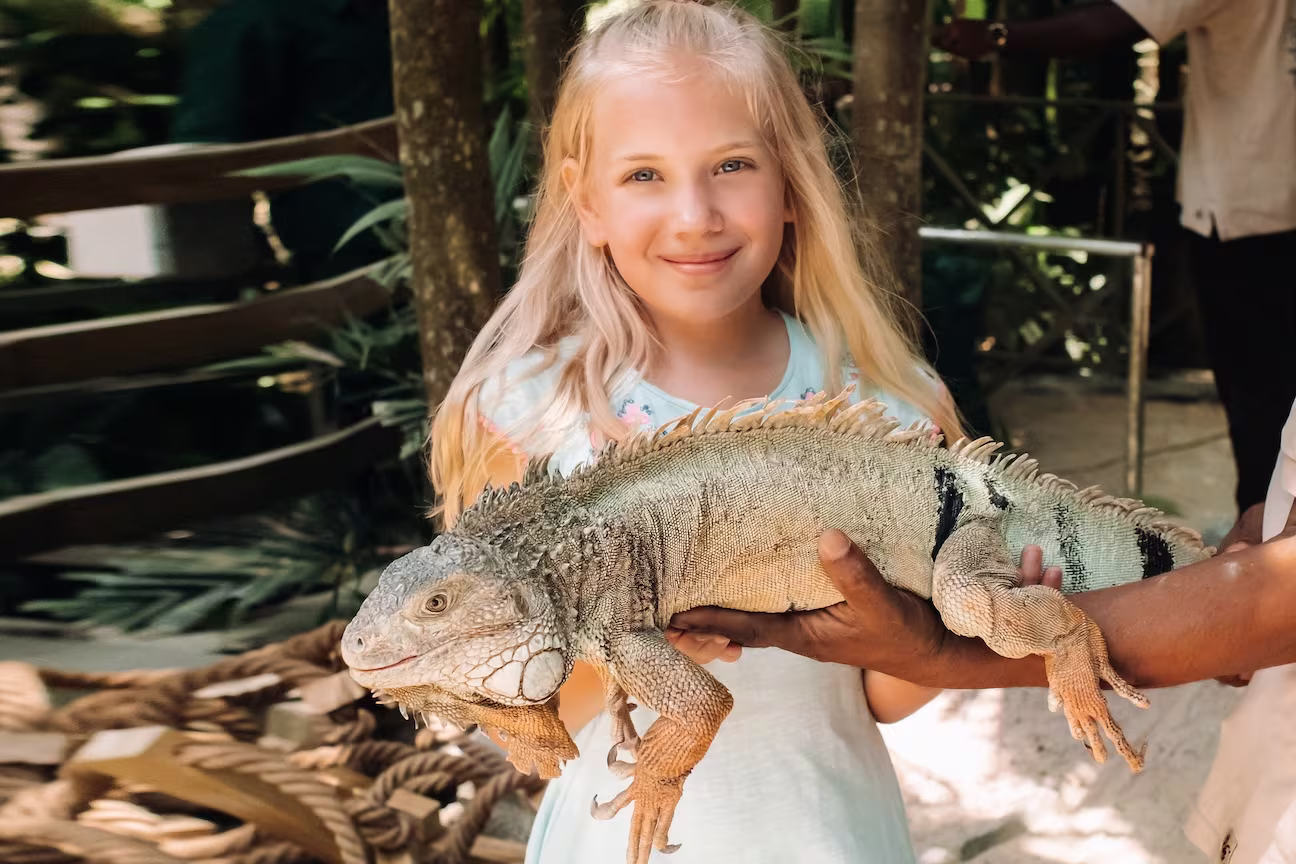 Little Girl with Iguana in Los Cabos