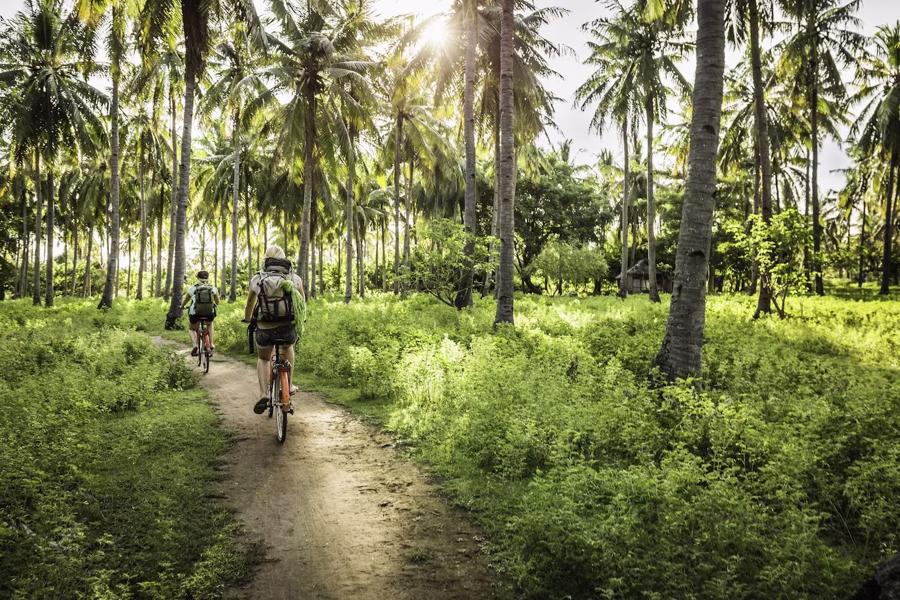 Tropical Bike Trail in Los Cabos