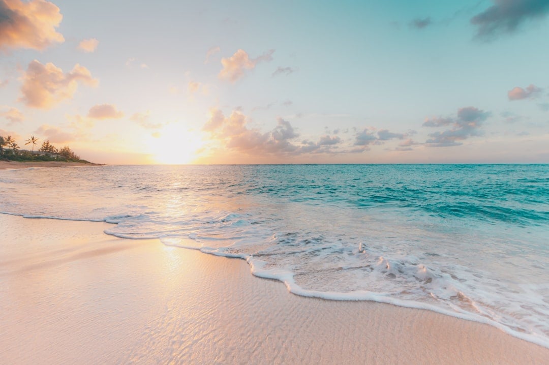 things to do in cabo with kids