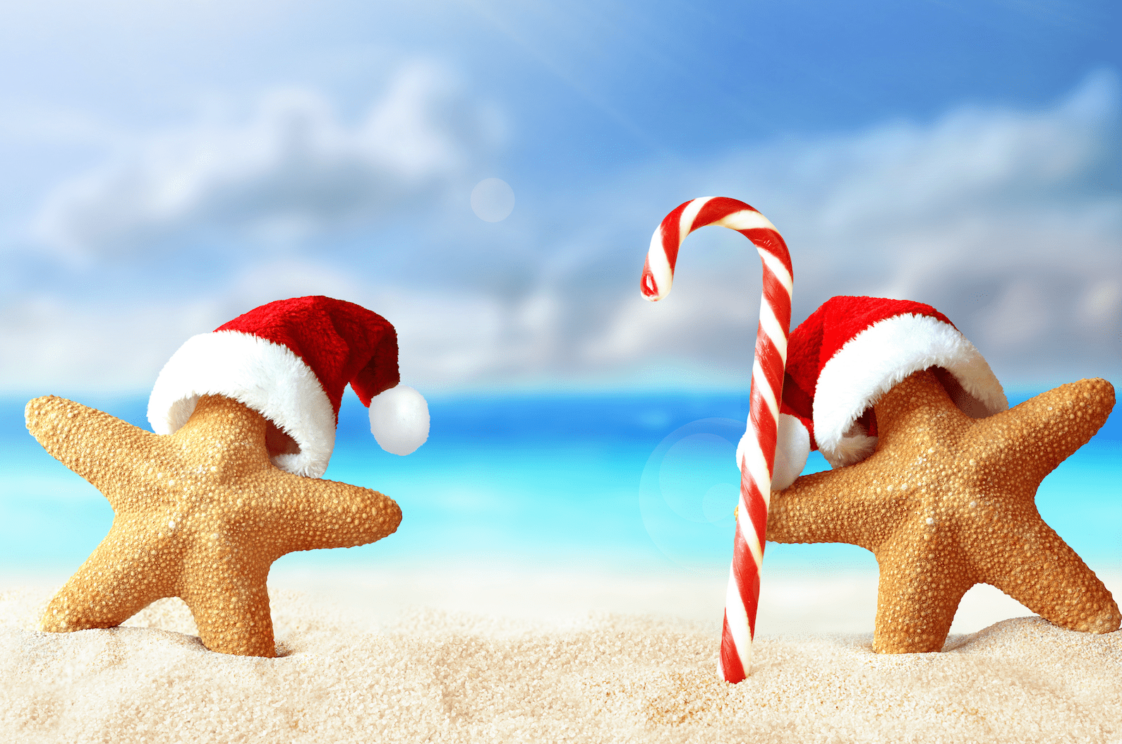 Cabo Holiday Transfers