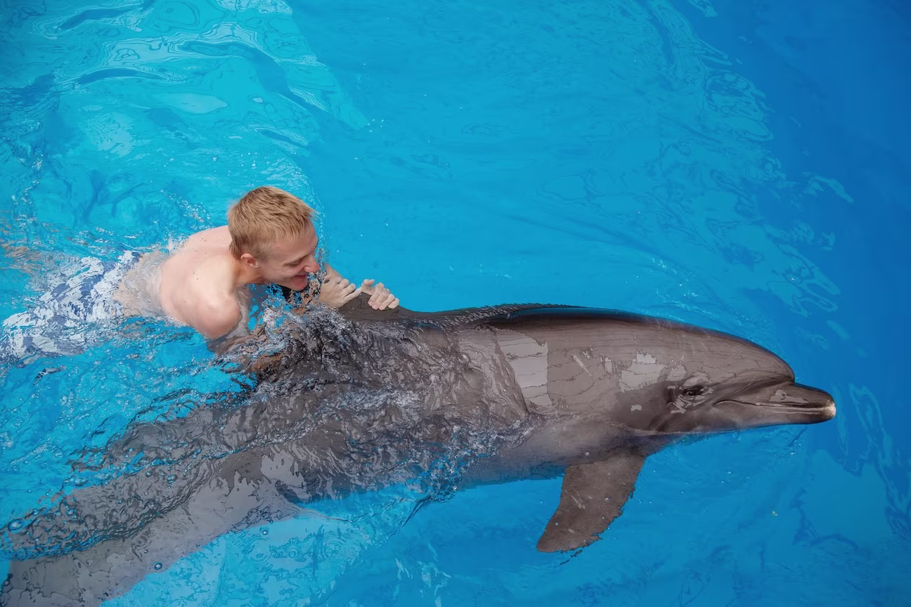 Man Swimming with Dolphin in Los Cabos Man Swimming with Dolphin in Los Cabos