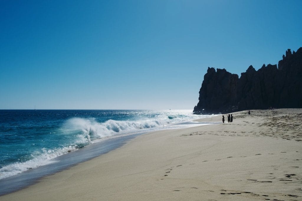 things to do in los cabos in february