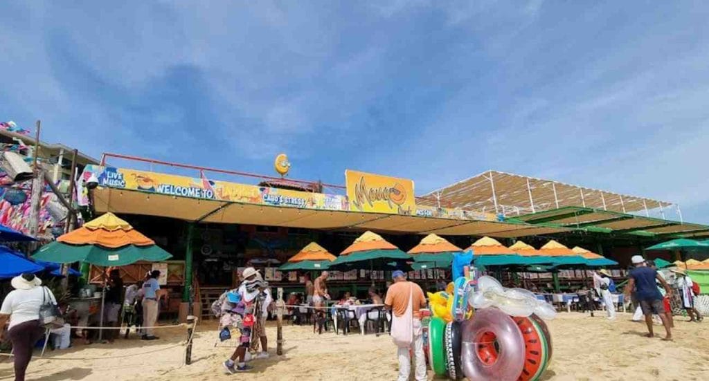 things to do in los cabos in june