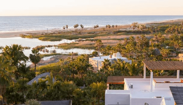 The white, flat-roofed buildings occupy the foreground, surrounded by palm trees. A coastal marsh and the calm sea stretch to the horizon under warm evening light.