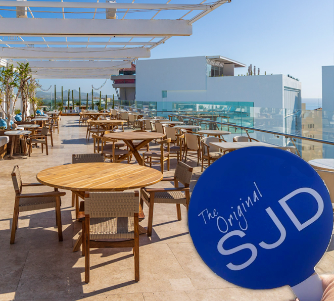 Viceroy Private Transportation