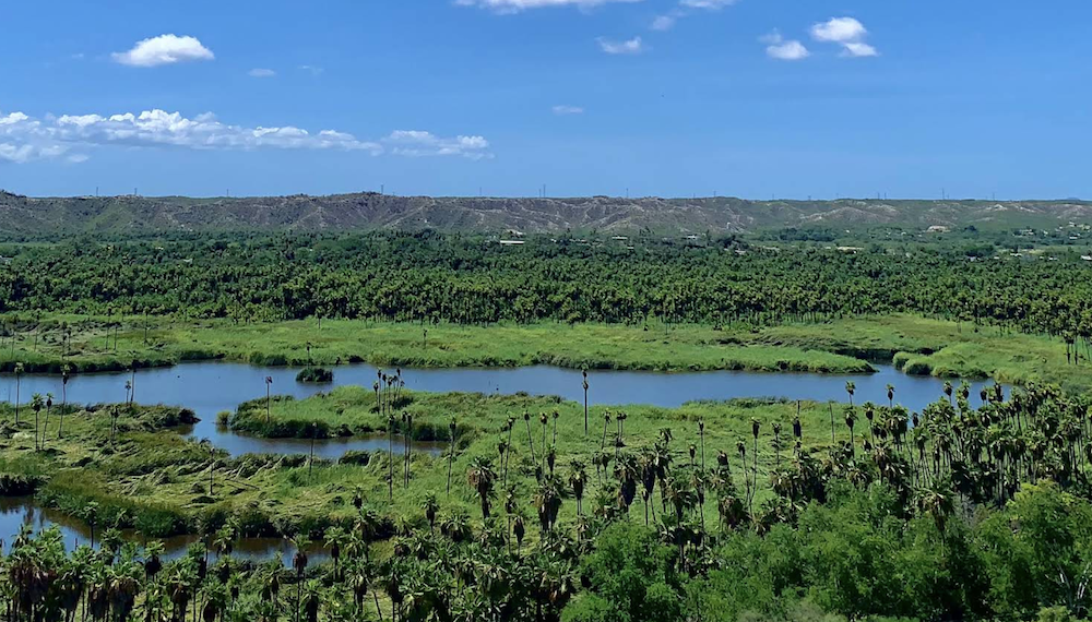 Fox Canyon Los Cabos Transportation Fox Canyon Los Cabos Transportation