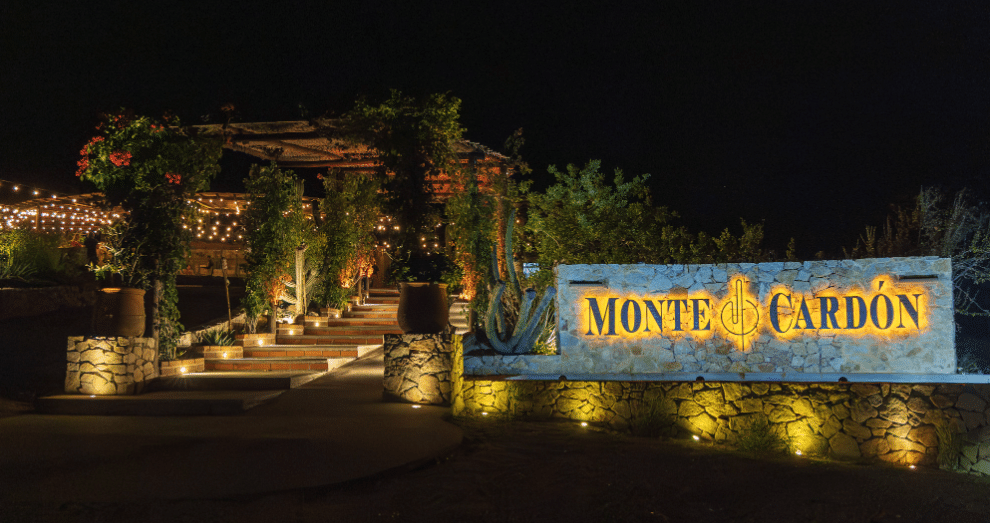 Object: A large stone sign reading MONTE CARDÓN with emblem between words. Action: It glows from warm ground lights at night. Context: An illuminated entrance with steps, potted plants, vines, wooden trellis with string lights.