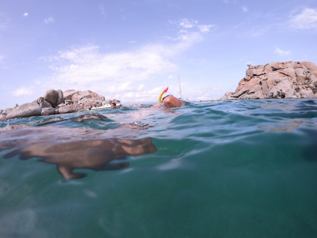 Cabo Snorkeling Transportation