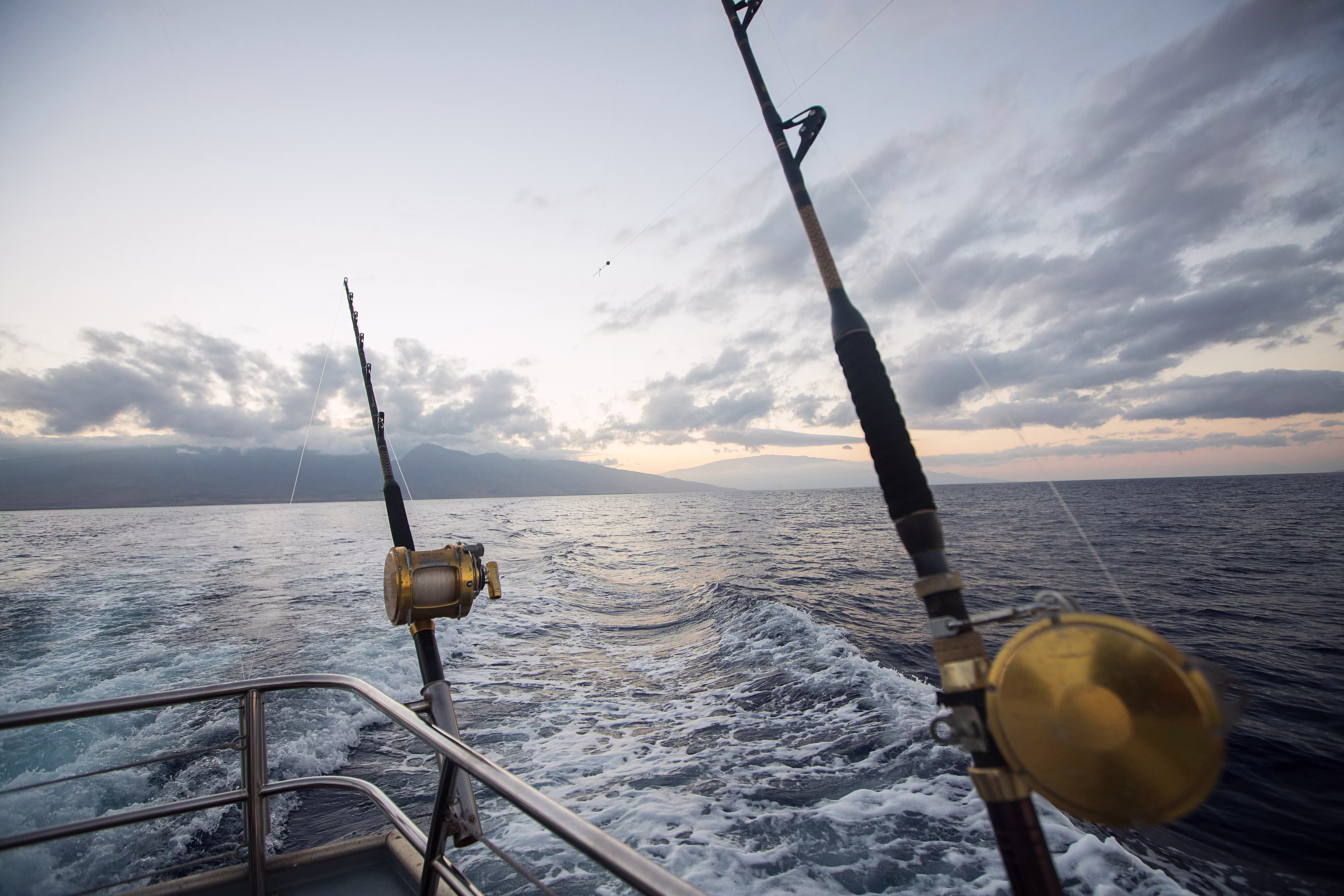 Deep Sea Fishing at Sunrise in Los Cabos Deep Sea Fishing at Sunrise in Los Cabos