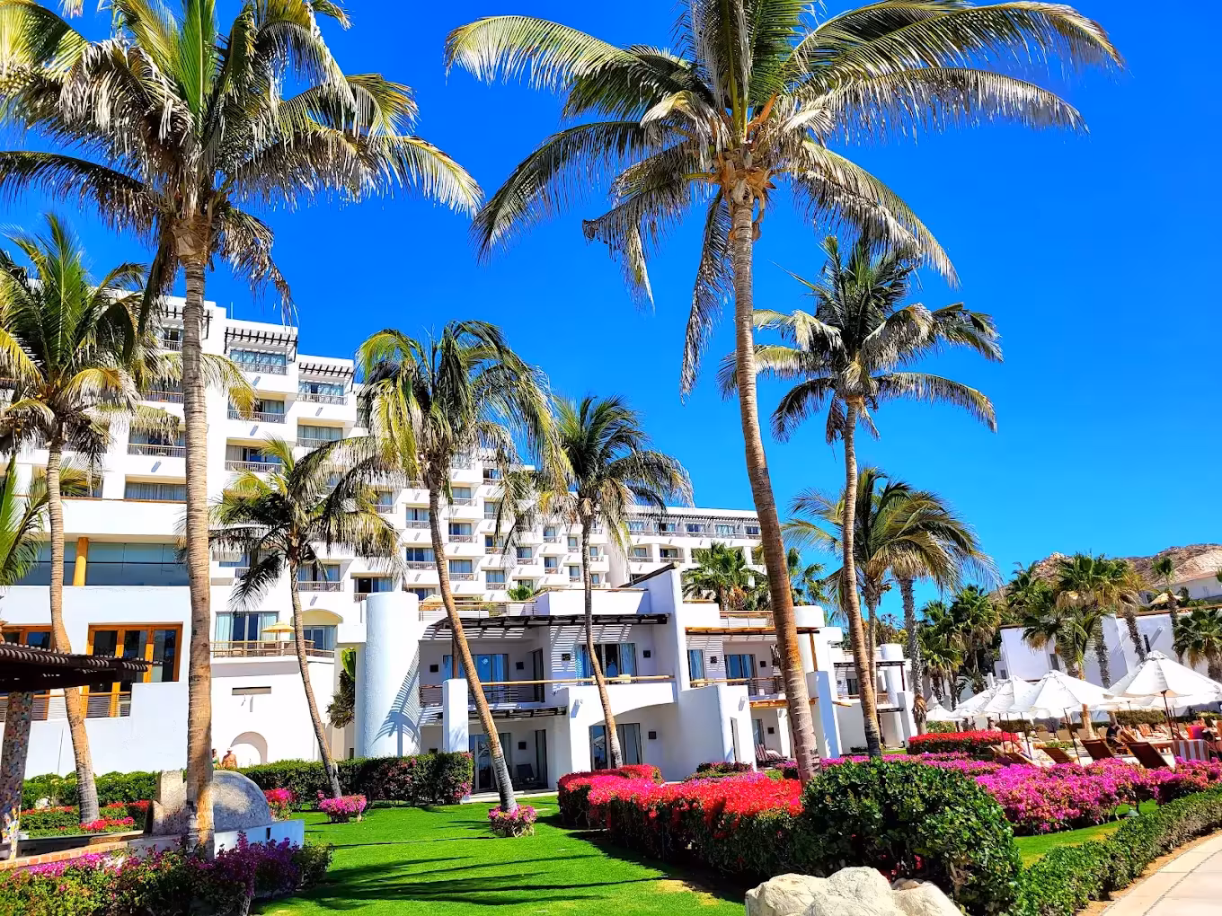 Marquis Resort in Los Cabos Marquis Resort in Los Cabos