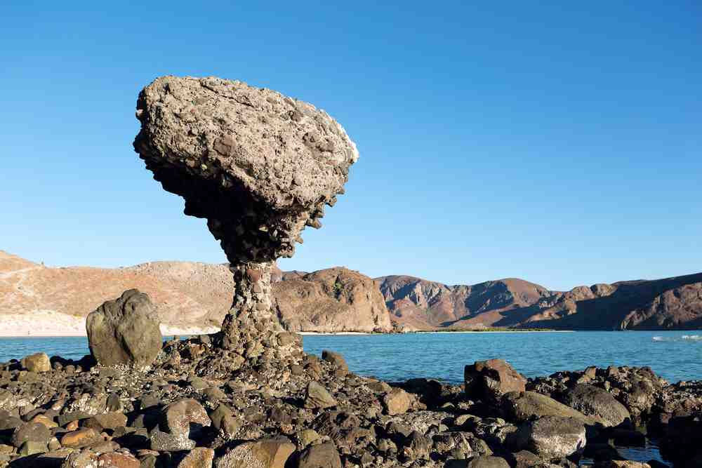 portland to la paz mexico