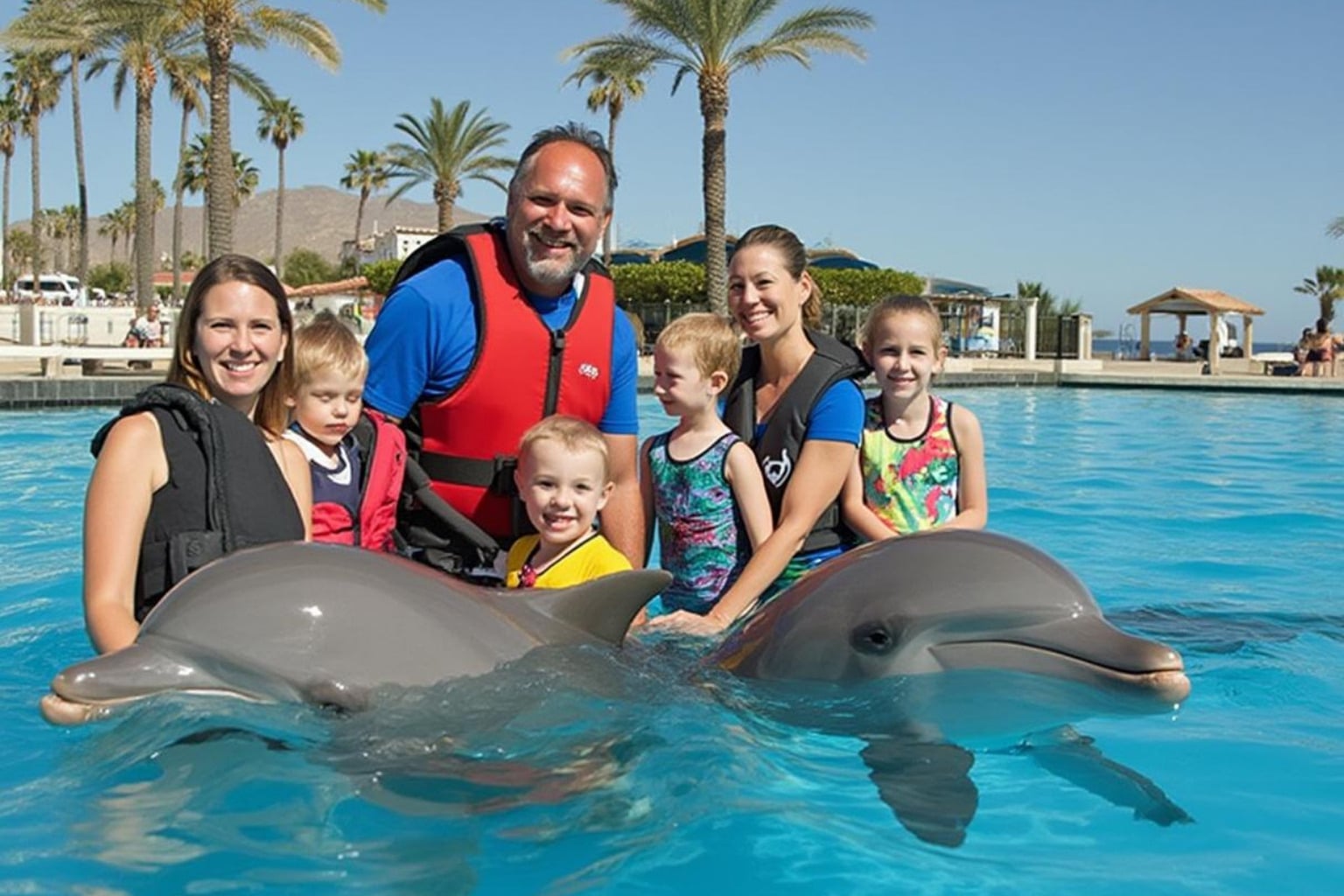 family with dolphins in cabo san lucas - things to do in cabo san lucas
