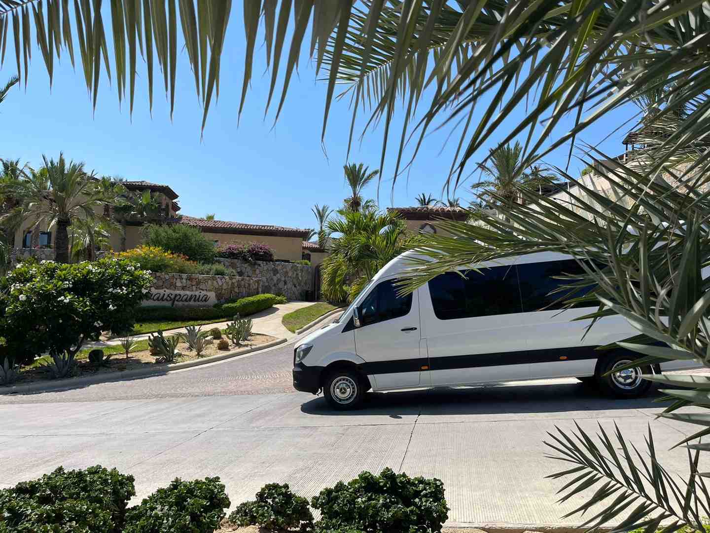 A beautifully decorated shuttle van, adorned with flowers and ribbons, ready to transport a wedding party in Los Cabos - Cabo group transportation A beautifully decorated shuttle van, adorned with flowers and ribbons, ready to transport a wedding party in Los Cabos - Cabo group transportation