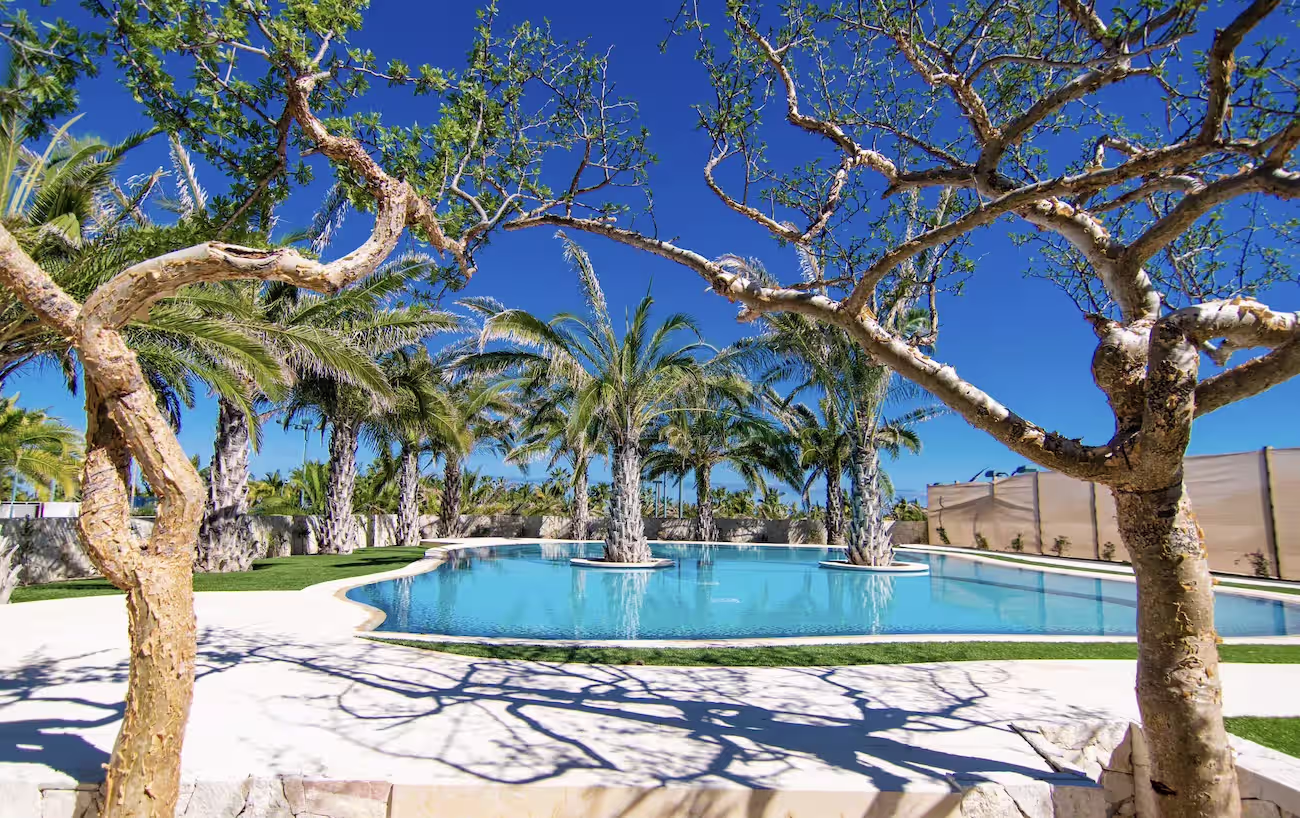 One&Only Palmilla Cabo Airport Transportation