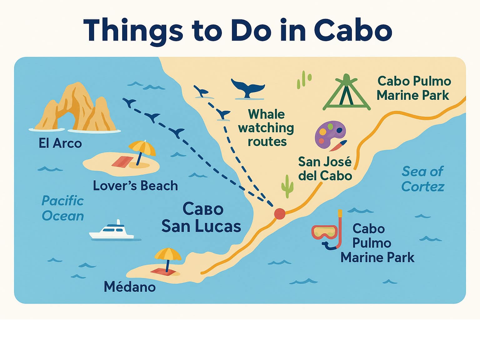 Map of Los Cabos showing key attractions including El Arco, Lover's Beach, Médano Beach, San José del Cabo Art Walk, Cabo Pulmo Marine Park, Wild Canyon Trips ziplines, whale watching routes, and major hotels along the Tourist Corridor - things to do in cabo infographic