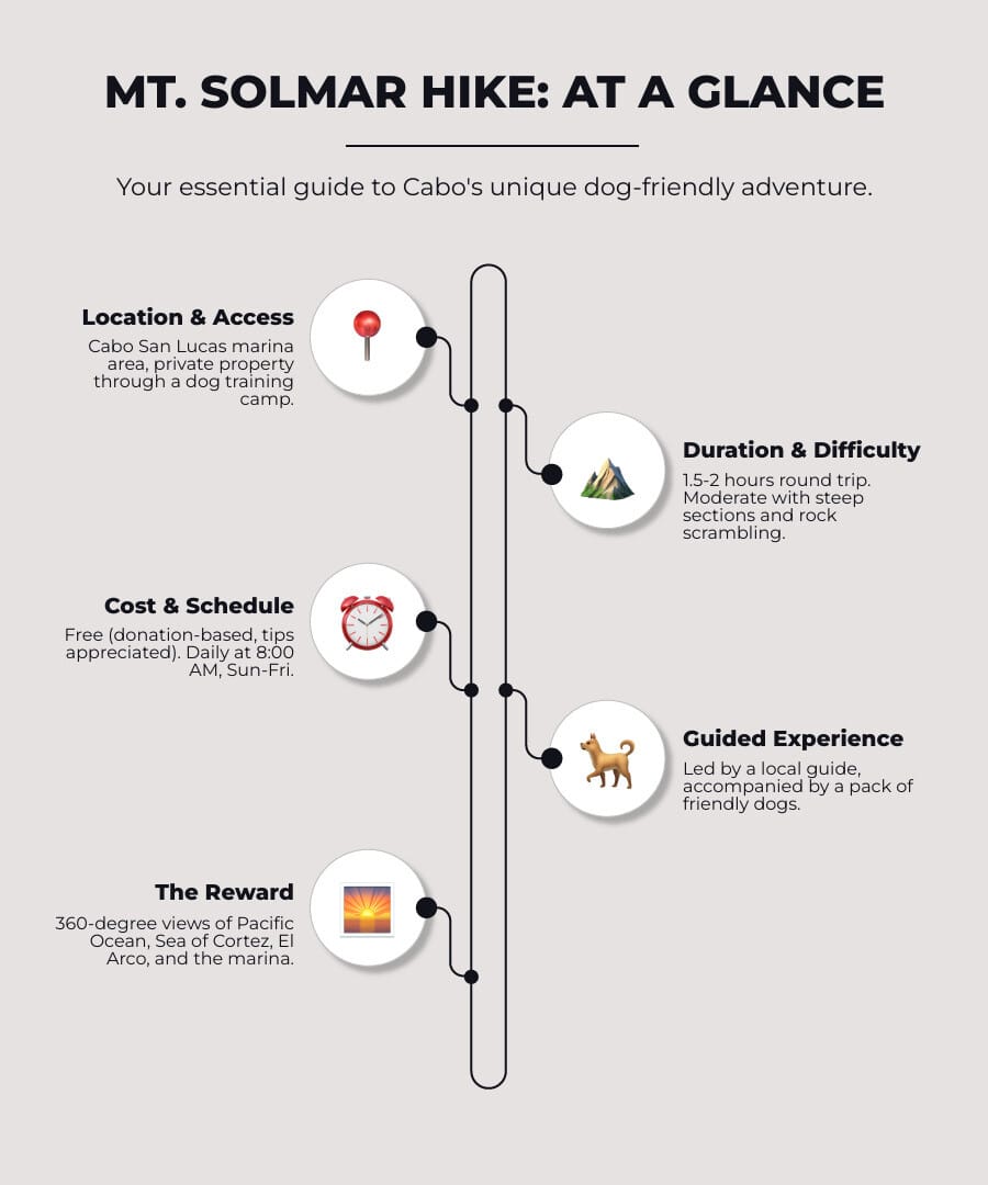 Mt Solmar hike at a glance infographic showing location at Cabo San Lucas marina, 1.5 to 2 hour duration, moderate difficulty with rock scrambling, donation-based cost with cash tips, daily tours at 8 AM Sunday to Friday, guide Enrique and his dogs, what to bring including sturdy shoes water sunscreen and cash, and views of Pacific Ocean Sea of Cortez El Arco and marina - mt solmar infographic infographic-line-5-steps-elegant_beige
