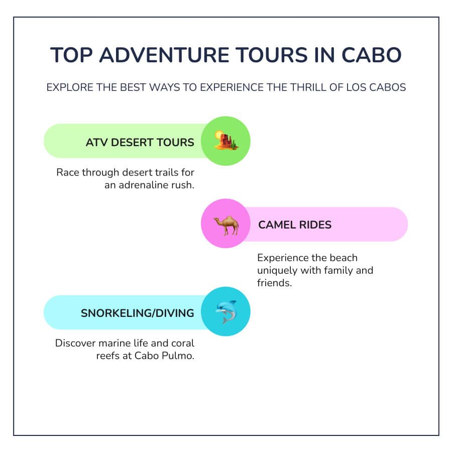 Popular Cabo Trip Tours by season and activity type showing peak times for water activities (April-October) and land trips (year-round) with pricing ranges and booking recommendations - Cabo Trip Tours infographic infographic-line-3-steps-colors